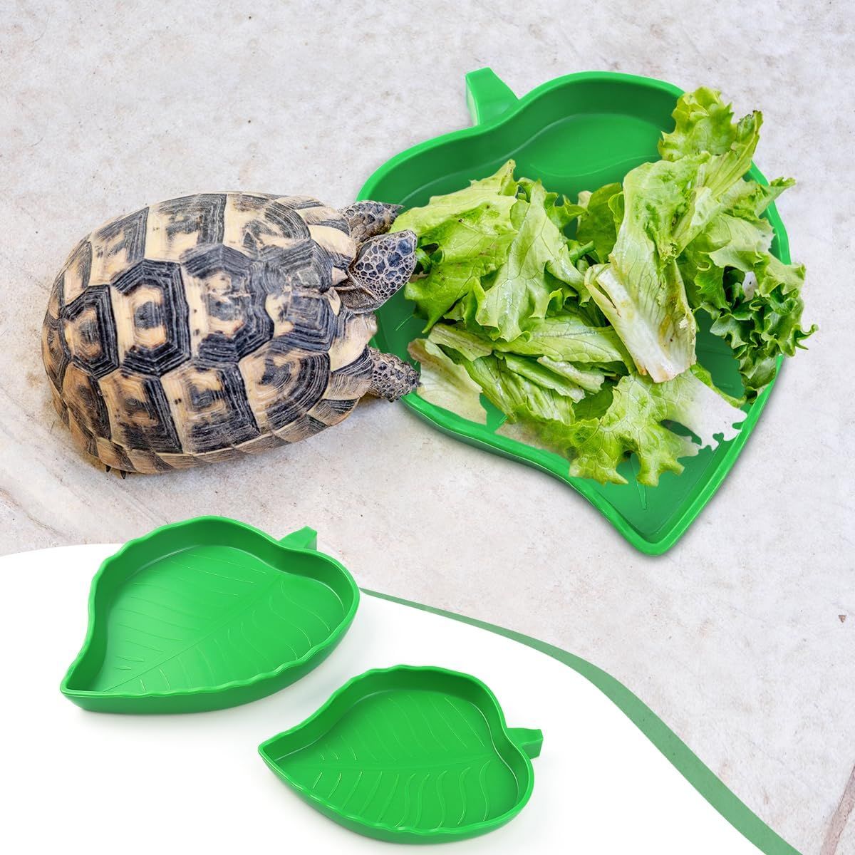 2 Pack Leaf Shaped Reptile Food and Water Bowls, Shallow Feeding Dishes for Tortoises, Lizards, Small Snakes and Bearded Dragons — image 2