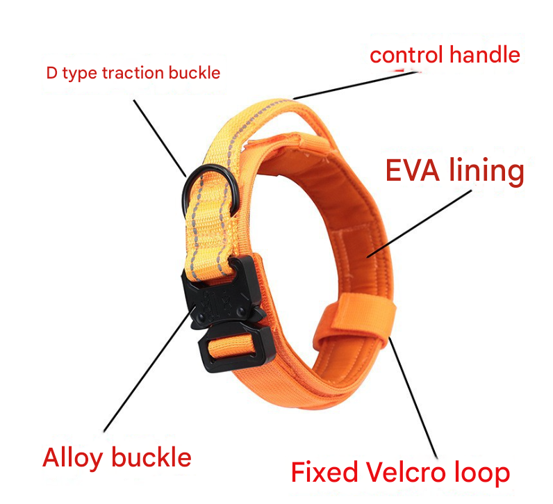 M Green Hands-Free Dog Leash with Adjustable Waist Belt - Shock Absorbing Bungee Lead — image 3