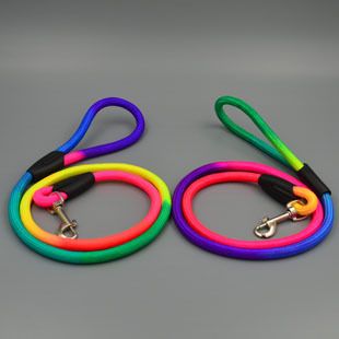 Pet Nylon Leash 120cm for Small Dogs Green 1.0cm thick, 120cm long — image 3