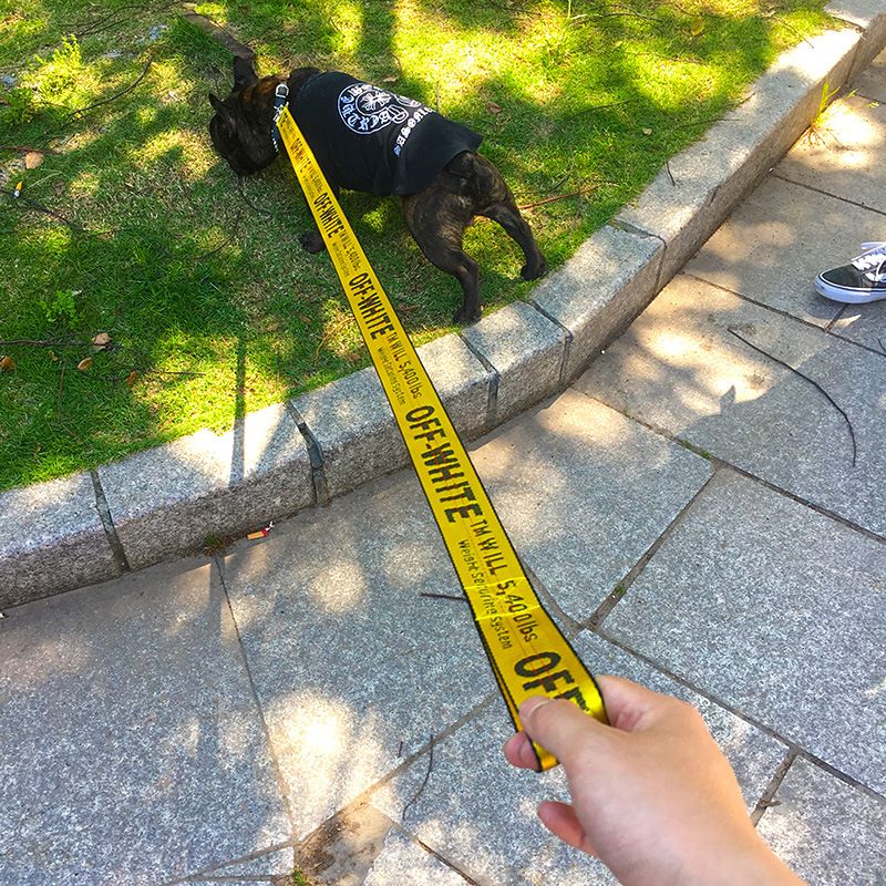 Card Pet Nylon Extendable Dog Leash 150cm Yellow — image 5