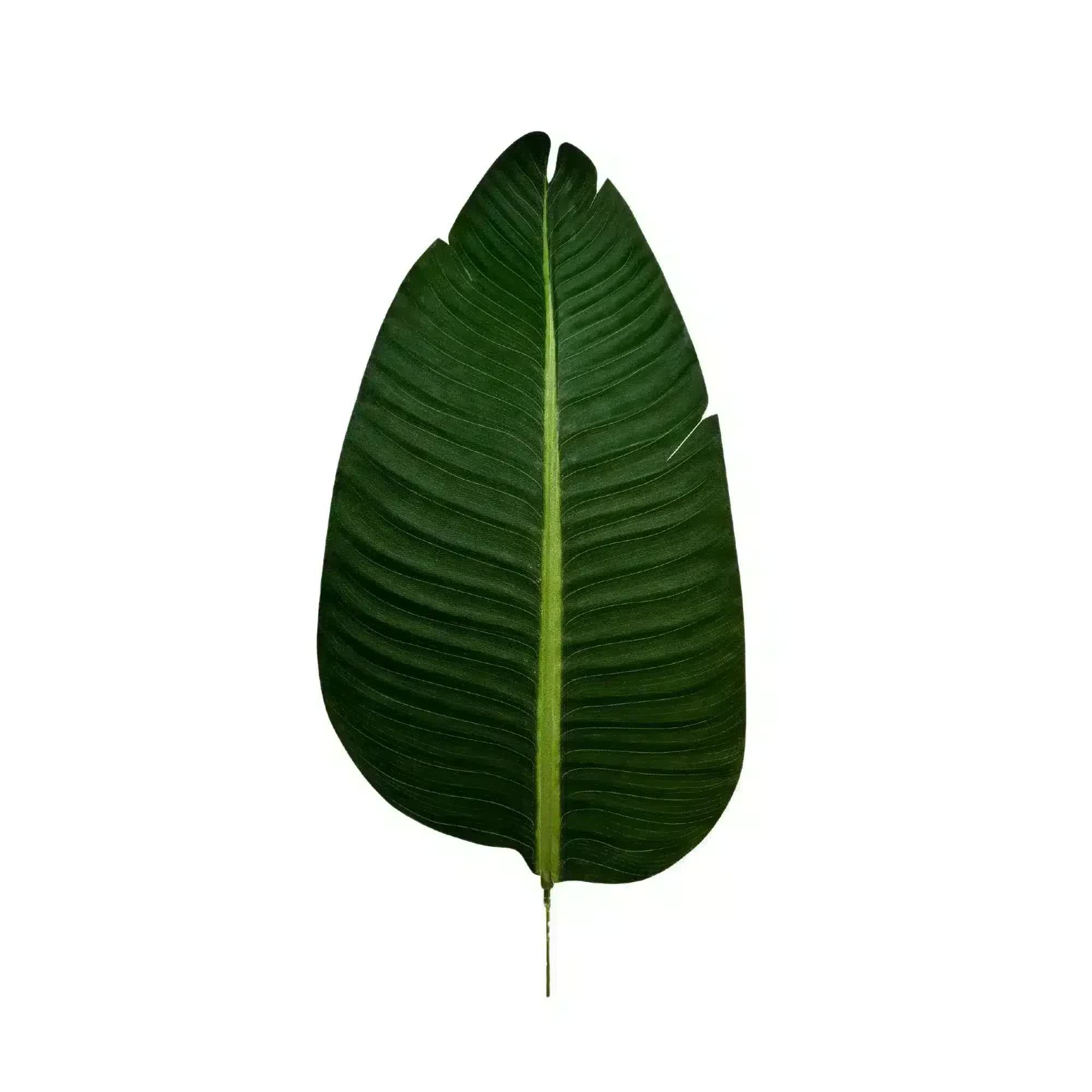 Grand Artificial Potted Travellers Palm (Banana Palm Tree) 180cm โ image 5