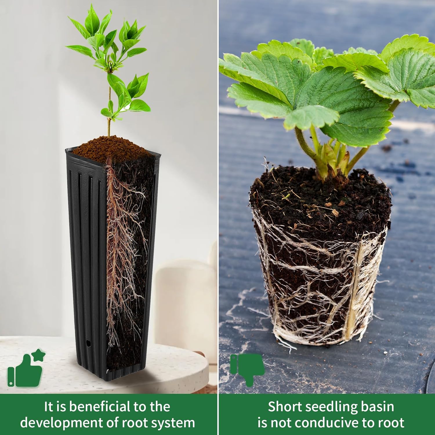 50 Pcs 12" Tall Tree Pots Plastic Deep Nursery Pots Tall Nursery Tree Pots Plant Deep Seedling Pots, Flower Plant Container Pots with 3 Pcs Garden Tools for — image 4