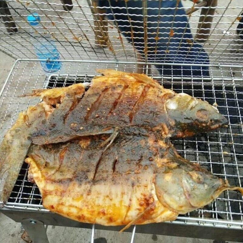 Bbq Fish Grilling Basket Grill Camping Net Meat Vegetable Cooking Kitchen Tool — image 5