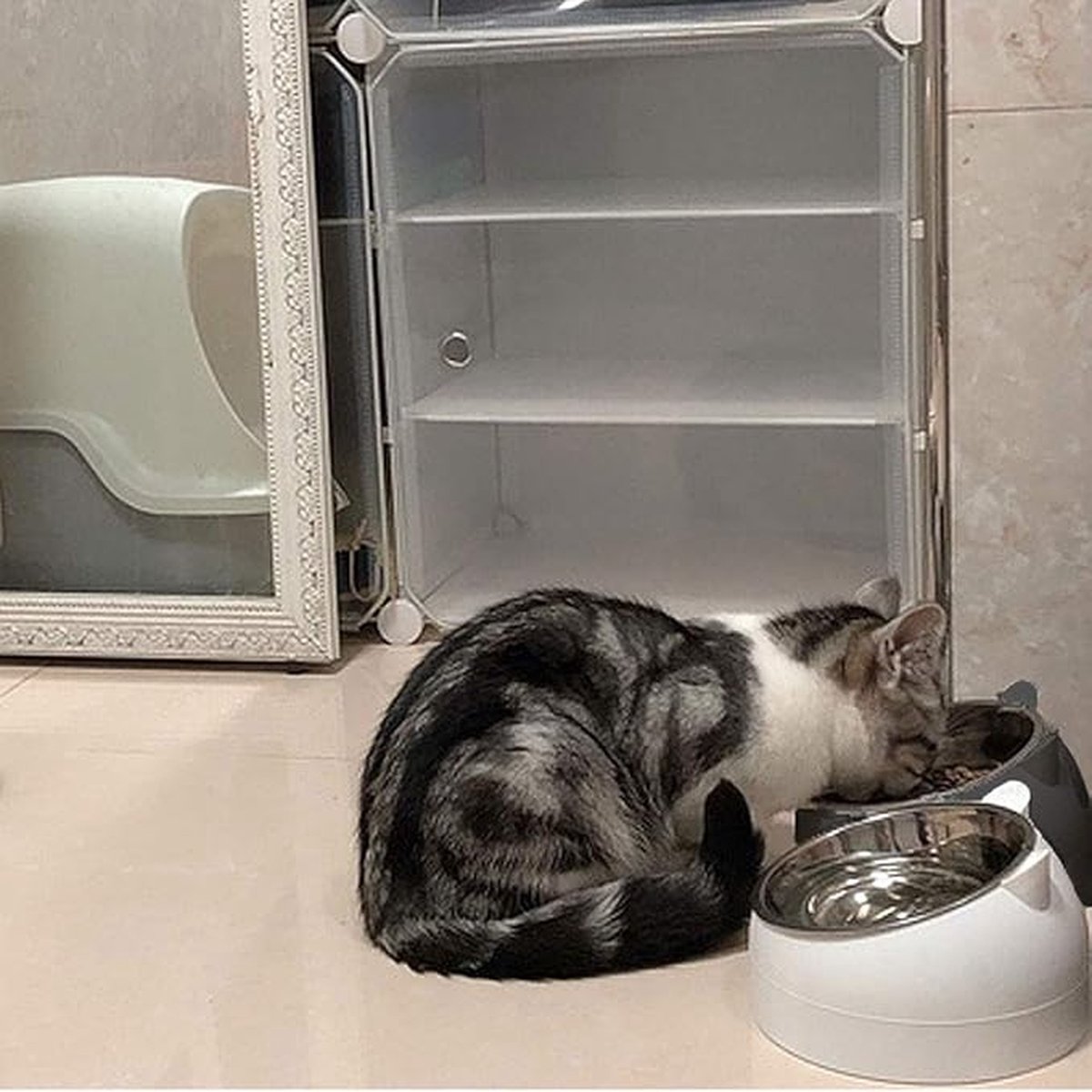 2 pieces - food bowls for cats - Dog food bowl - black, white - 200 ml - Drinking bowl for dogs and cats - Stainless steel - With cat head shape — image 2