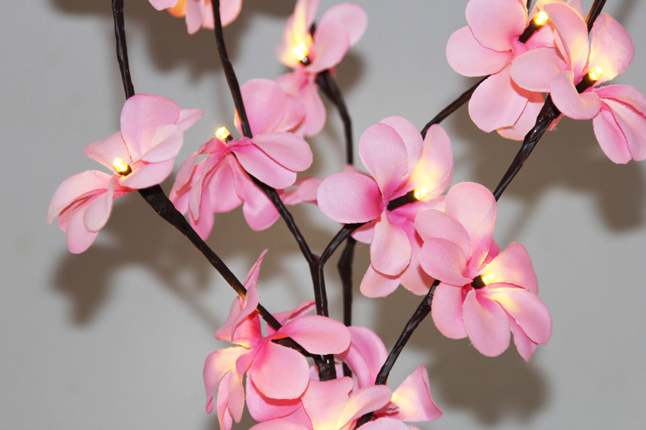 1 Set of 50cm H 20 LED Pink Frangipani Tree Branch Stem Fairy Light Wedding Event Party Function Table Vase Centrepiece Decoration Girl Bedroom — image 4