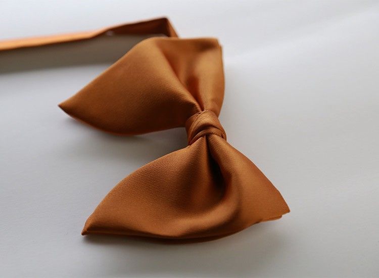 Men Bow Tie Solid Color Black Polyester โ image 4