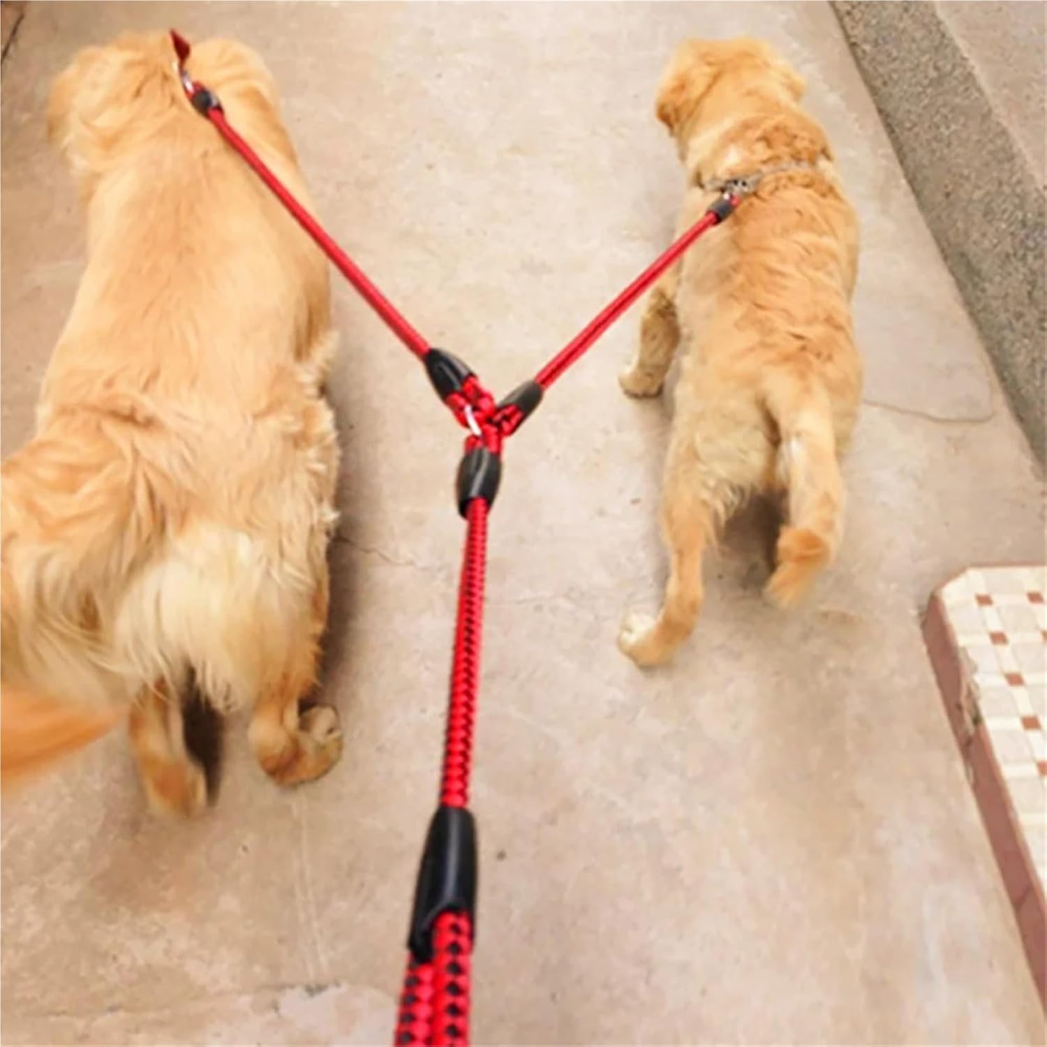 Red and Black Double Dog Leash and Collar Set - 1.4m Long - Durable Pet Lead for Dogs — image 2