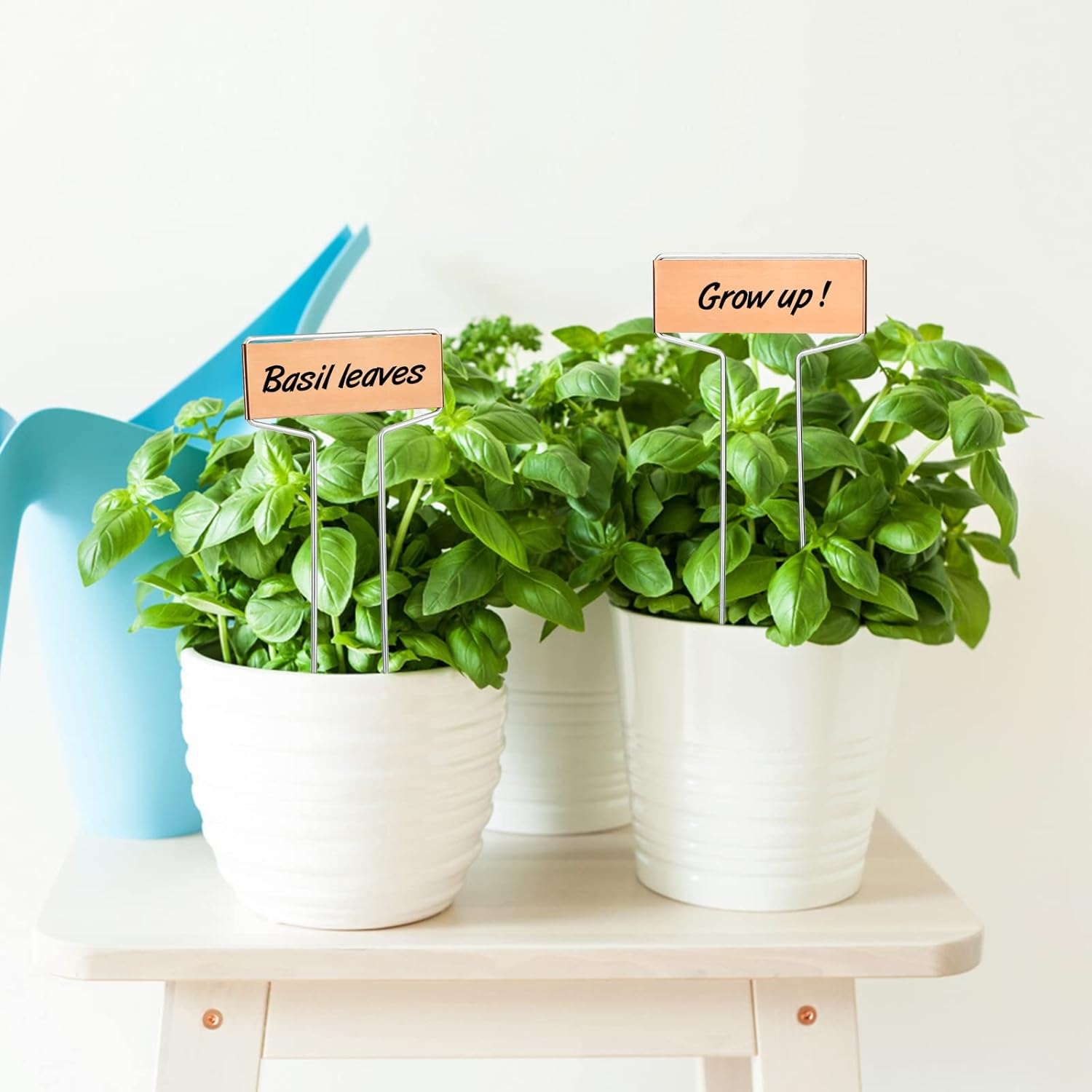 20 Pcs Copper Metal Plant Labels Garden Plant Tags for Plants Herb Seedlings โ image 5