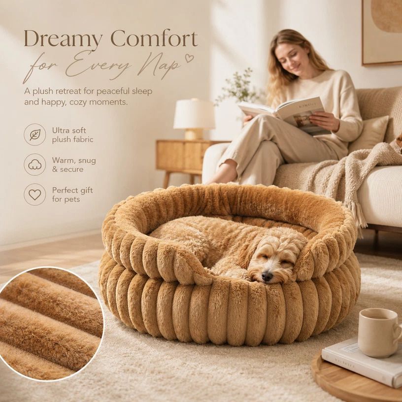 Notch Version Round Bed - Coffee, Size L: 60 × 15cm