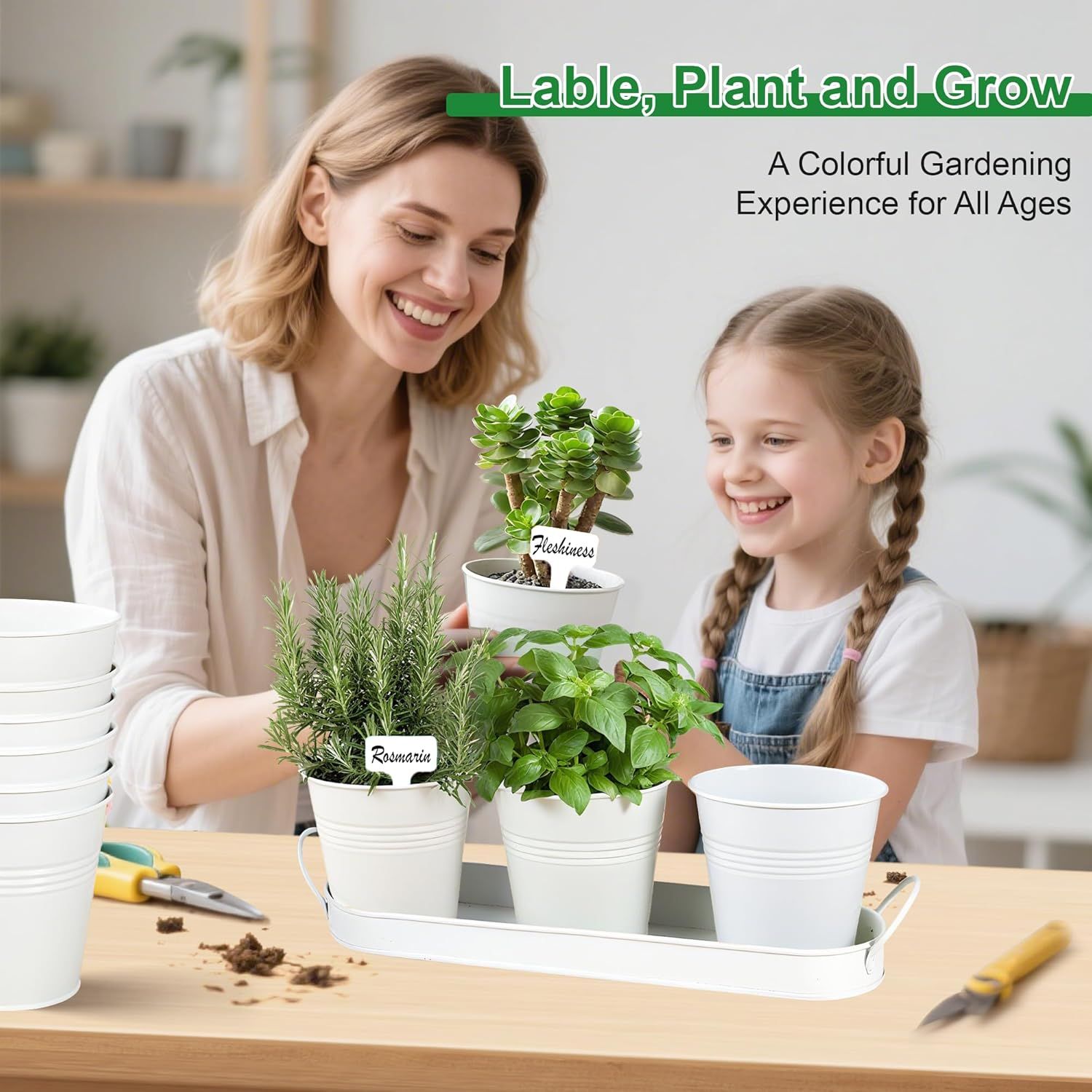 Herb Garden Planter Indoor Kit – 6 Metal Pots with 2 Trays for Windowsill & Kitchen Counter – Modern Decorative Indoor Planters for Herbs, Succulents & Small — image 6