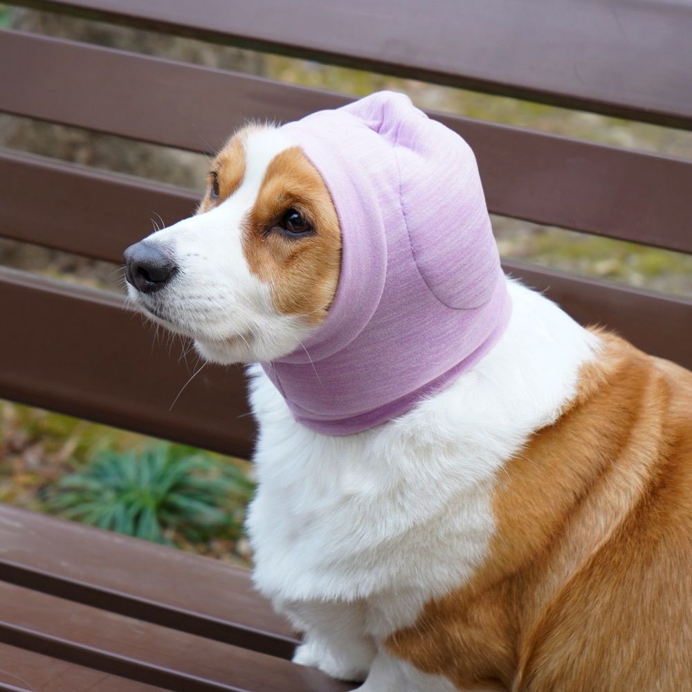 Dog Ear Muffs & No Shake Ear Wrap for Hematoma, Bathing, Drying, Swim& Noise Anxiety Relief- Elastic Ear Protector with Calming Hoodie Design for โ image 2