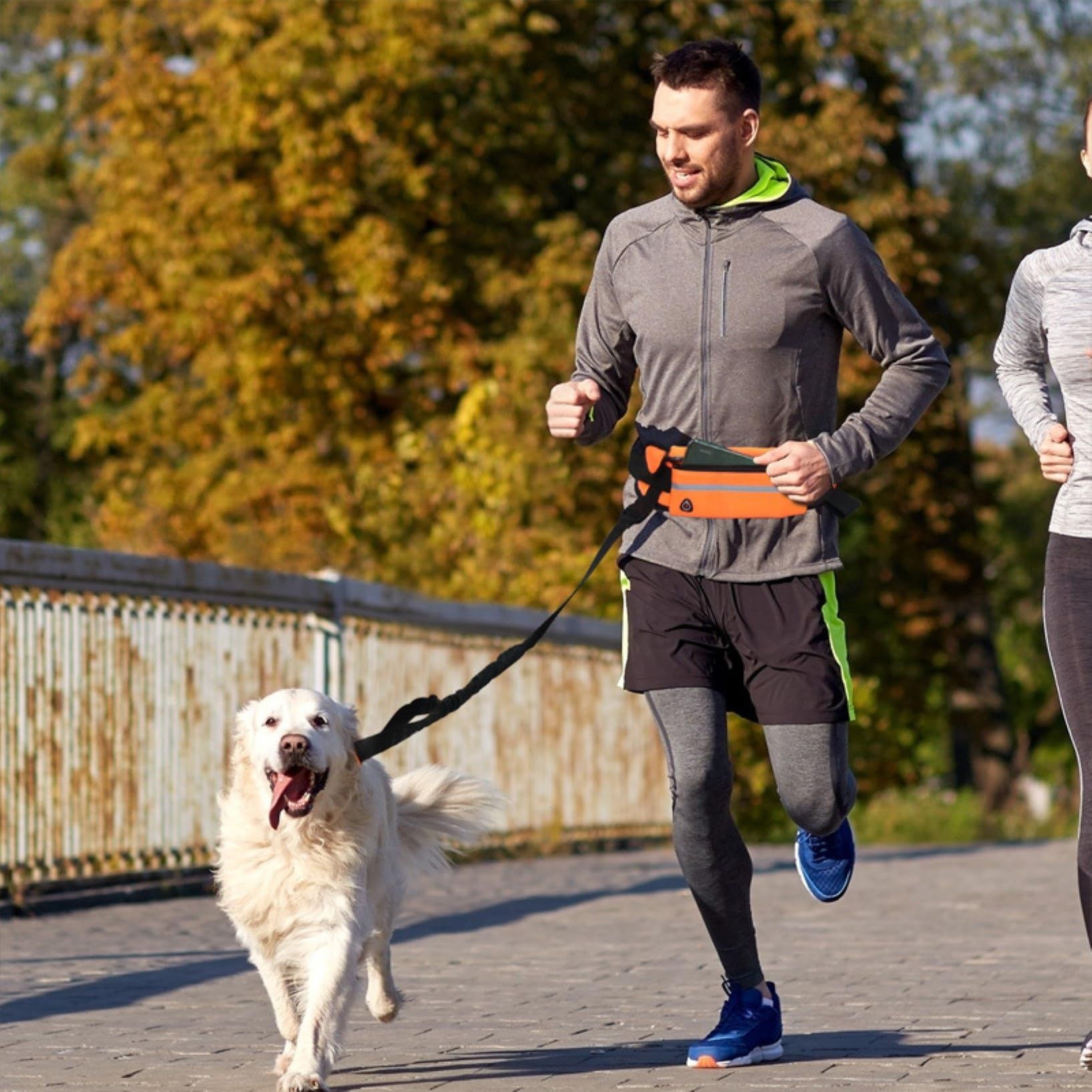 Hands Free Dog Leash for Running Walking, Dog Walking Belt with Adjustable Bungee Waist and Pouch for Medium Dogs — image 4