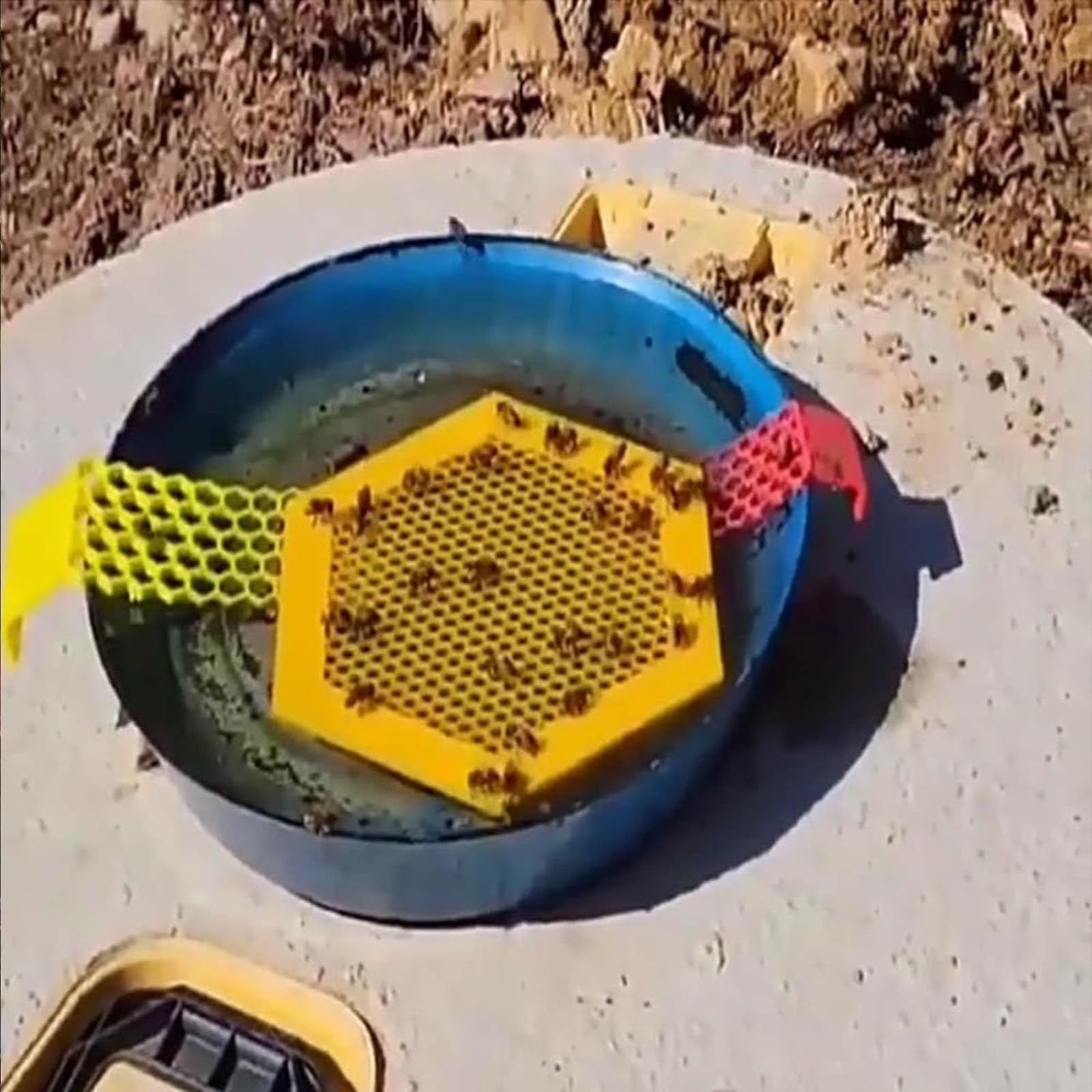 Floating Bee Island for Drinking 2pcs — image 4