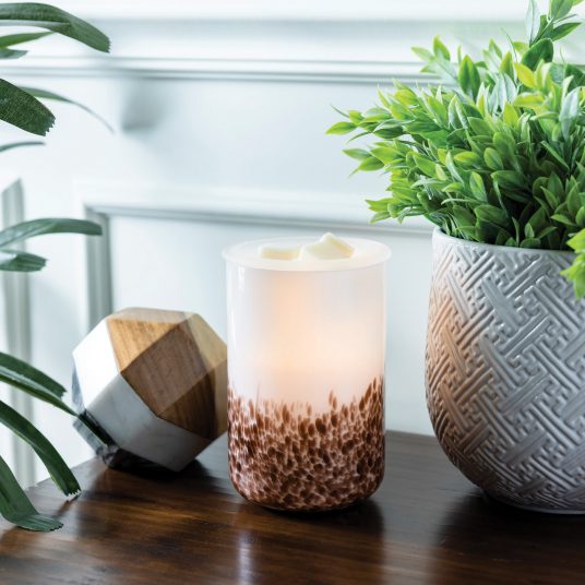 Tiger Shell Glass Illumination Warmer — image 2