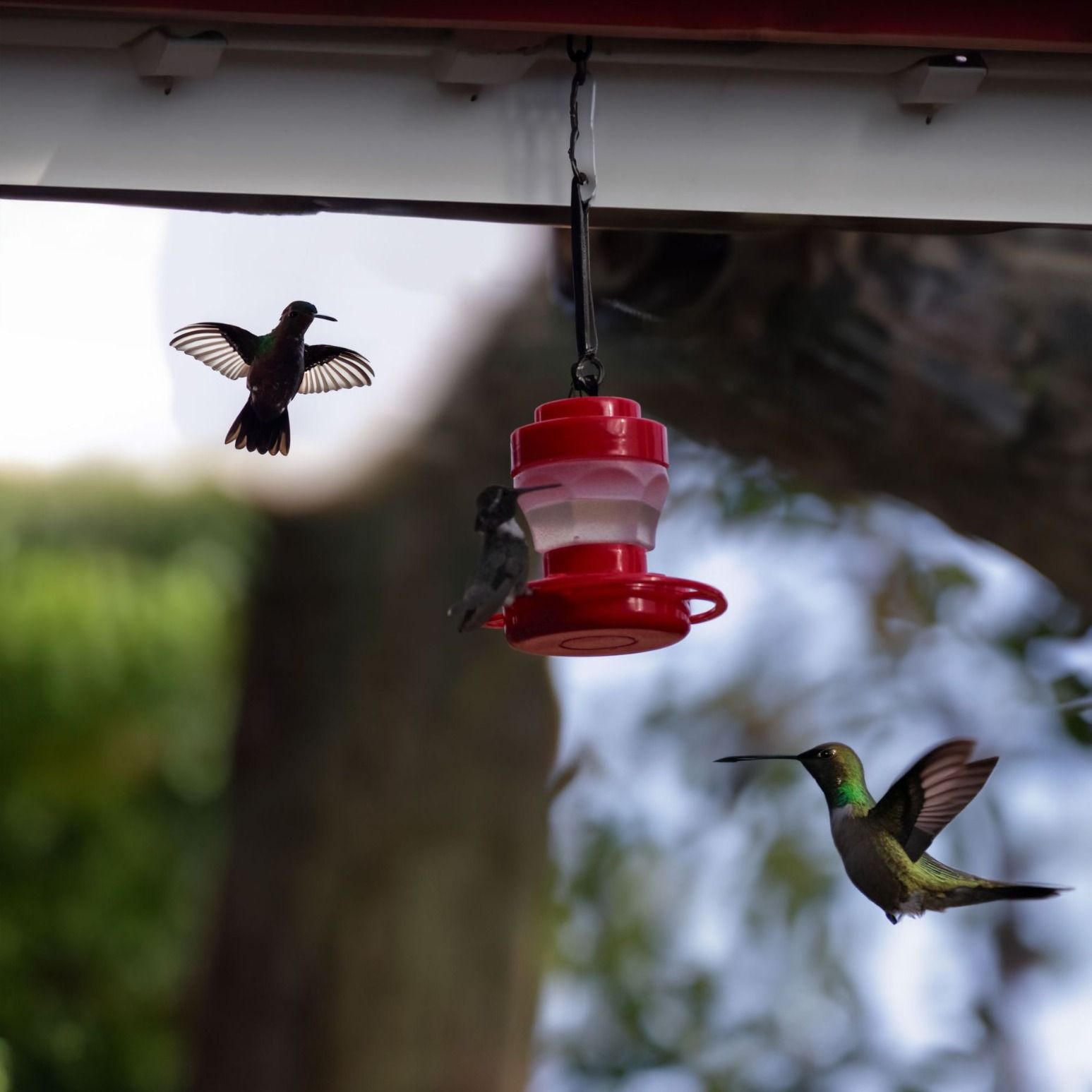 Hummingbird Feeder with Hook and 8 Feeding Stations, Bird Water Feeder for Outside Hanging for Garden Yard (2) — image 4