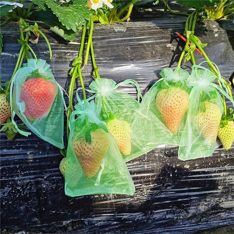 100Pcs Fruit Protection Bags, It's Perfect for Protecting Your Fruit from Damage.Fruit Bags for Fruit Trees โ image 3