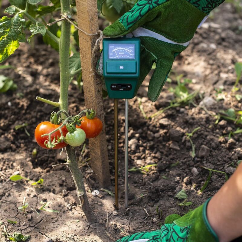 3-in-1 Soil pH Moisture Meter Test Kit for Flowers Grass Plant Garden Lawn with Probe — image 3