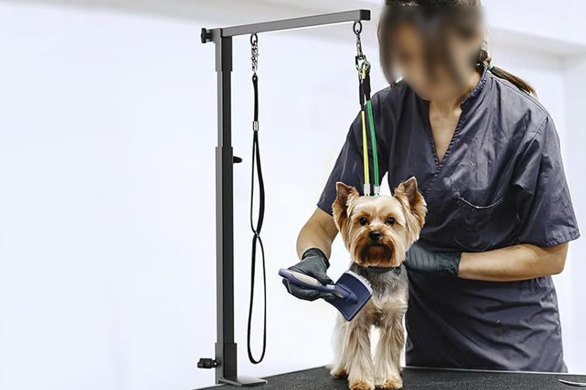 Dog Grooming Arm Pet Grooming Hammock Dog Grooming Stand with Loop Noose โ image 6