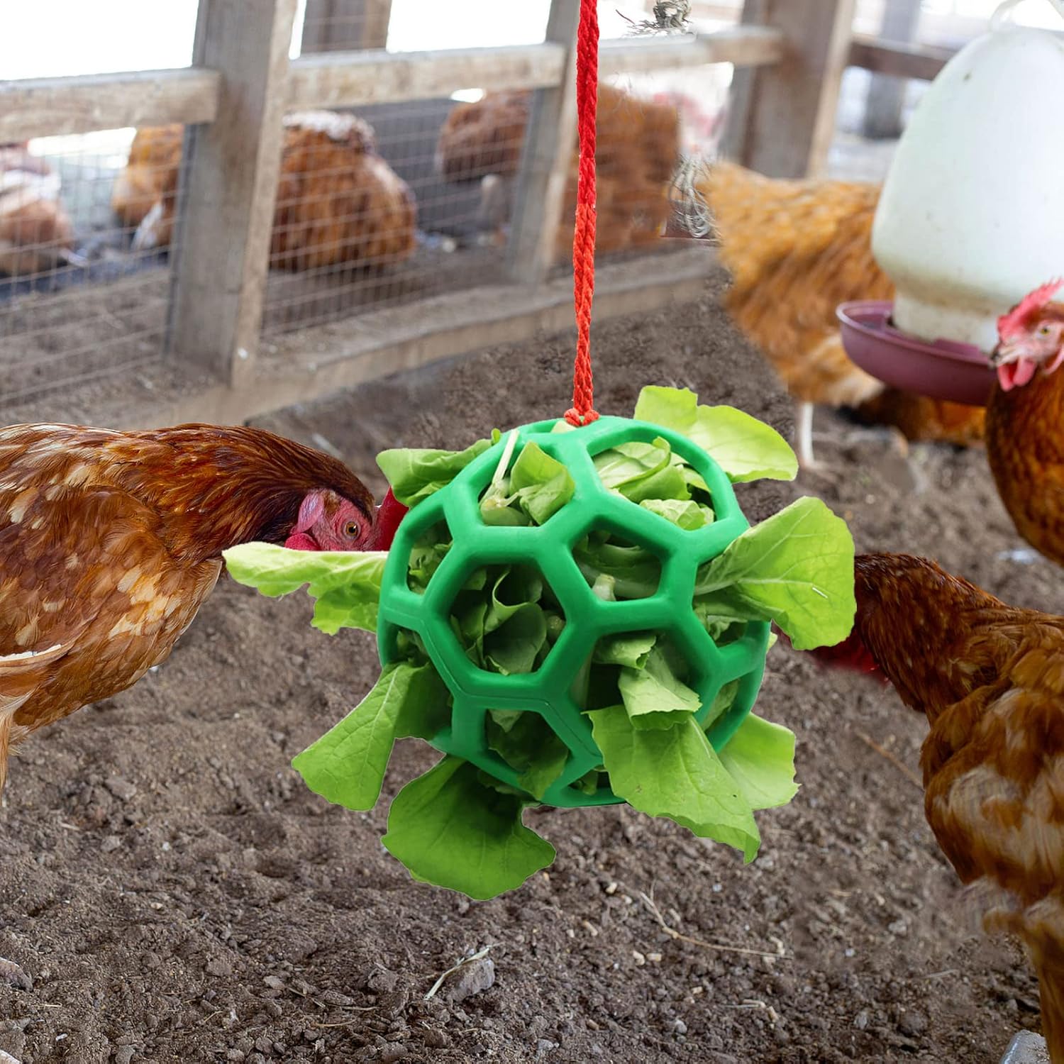 2pcs Chicken Vegetable Feeder Ball Hanging Feeding Toy, Poultry Fruit Holder Chicken Cabbage Feeder Treat Feeding Tool for Hens Chicken Coop Goose Duck Large — image 3