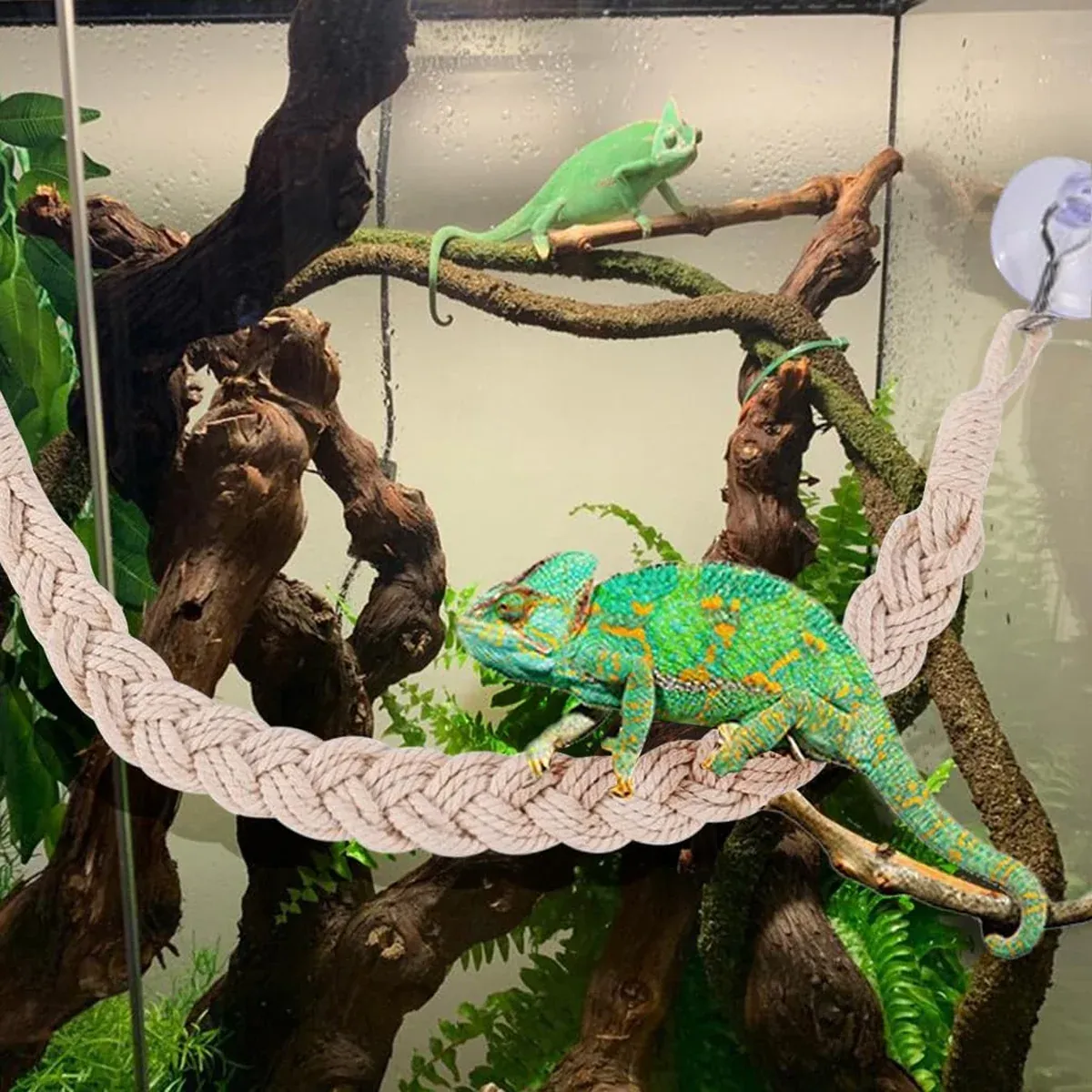 1PC Pet Climbing Gear Suspension Bridge Rope Swing for Reptiles Hermit Crabs — image 5