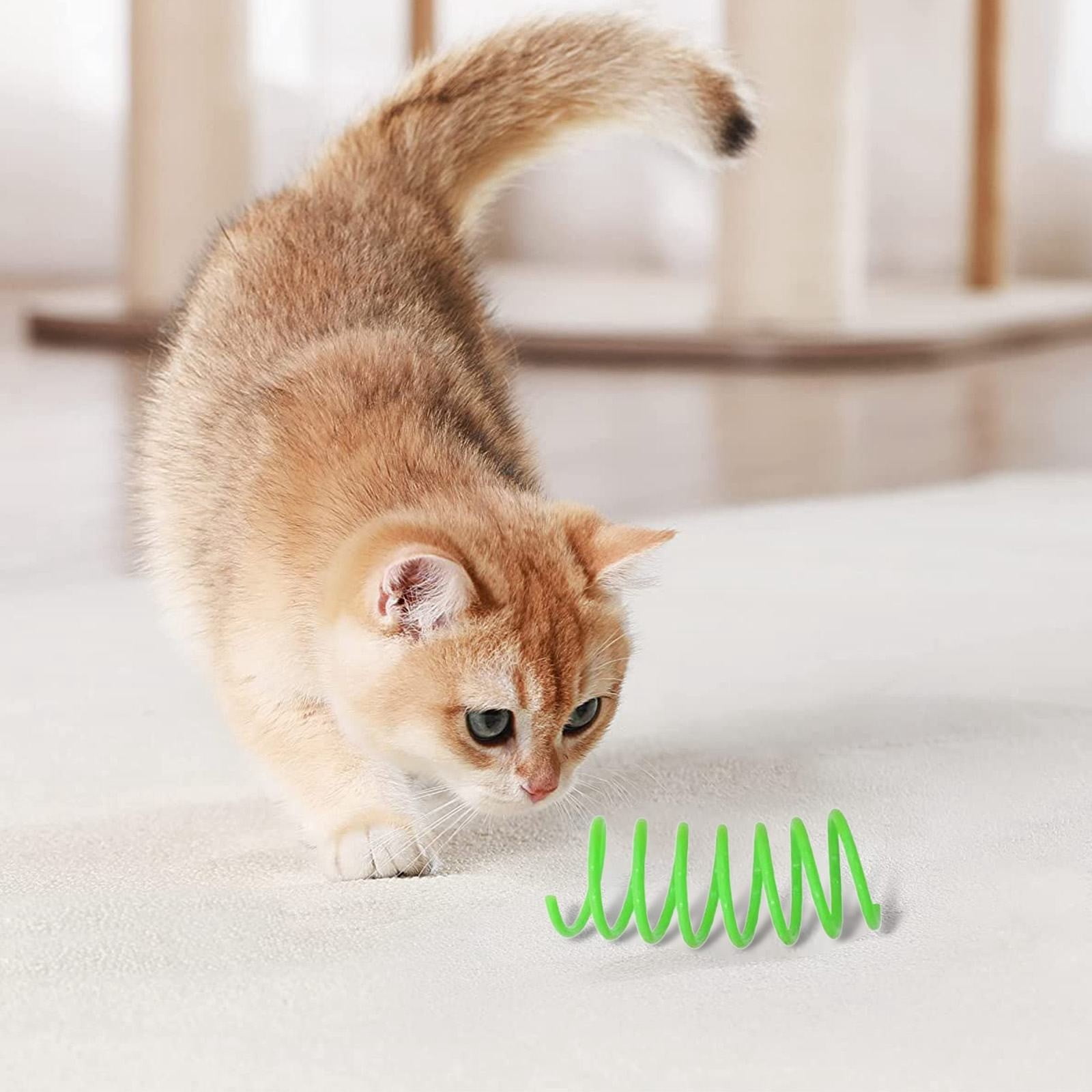Red Pet Cat Toy Spring Style Spring Toys Playful Coils for Plastic for Swatting Biting Hunting and Active Play Colorful, Red Blue — image 5