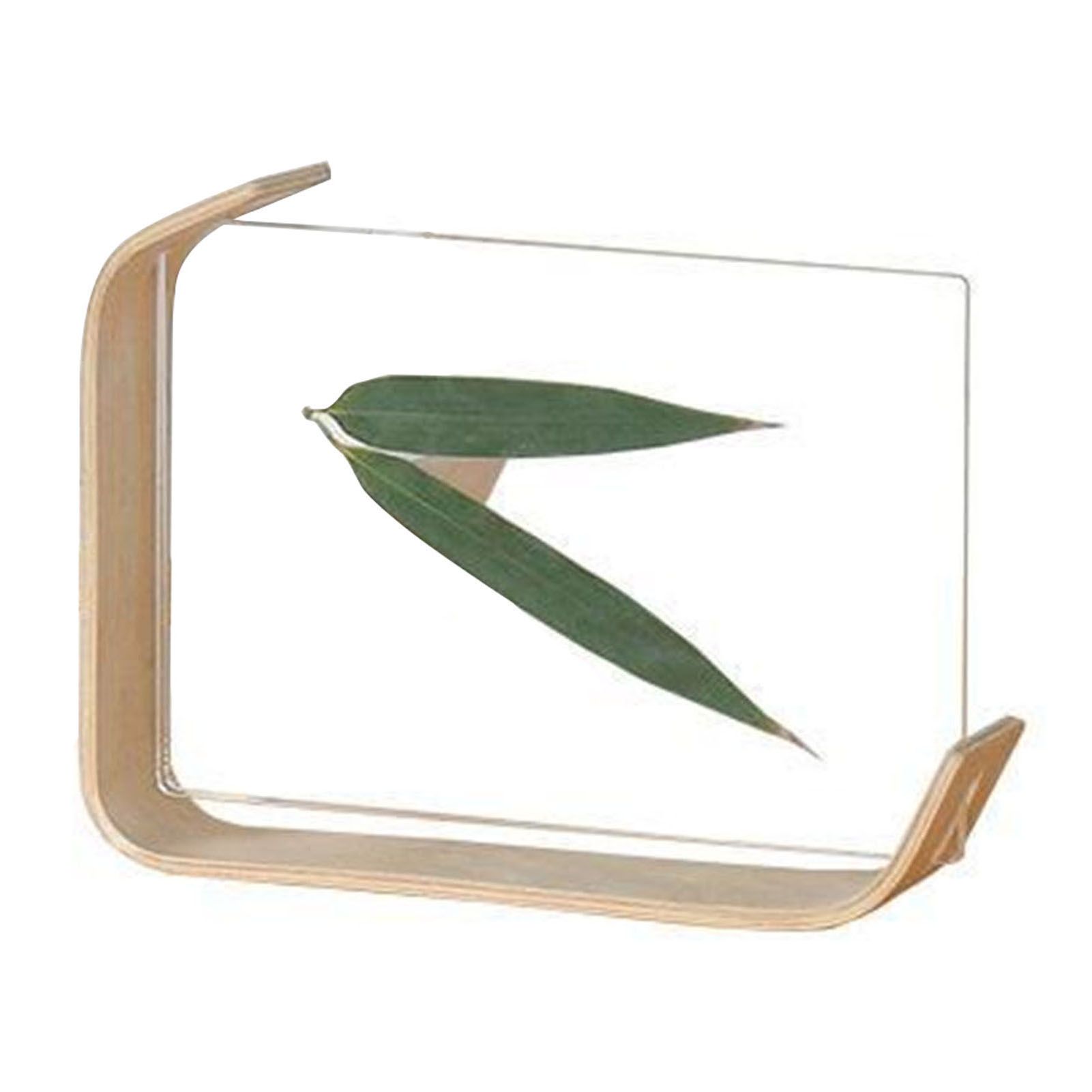 Desktop Plant Specimen Frame Wooden Acrylic Simple Modern Photo Frame Desktop Ornament Home Decoration — image 2