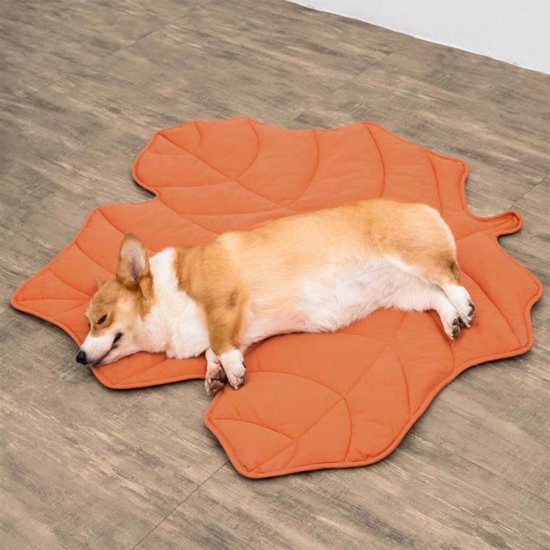 Leaf-Shaped Multi-Functional Pet Mat – Plush, Thick, and All-Season Comfort for Your Cat or Dog, Crate Cushion, Sofa Protector, or Cozy — image 3
