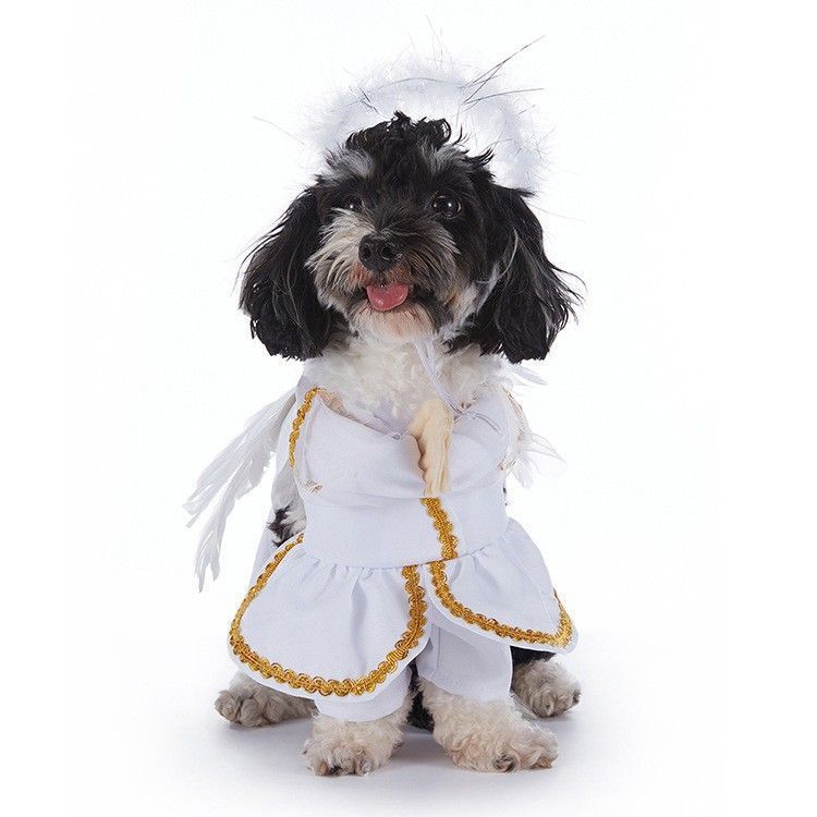 Indoor Celebration Worn Supplies For Cats and Dogs, Holiday Decor Accessory for Halloween Christmas Festivities, Size S