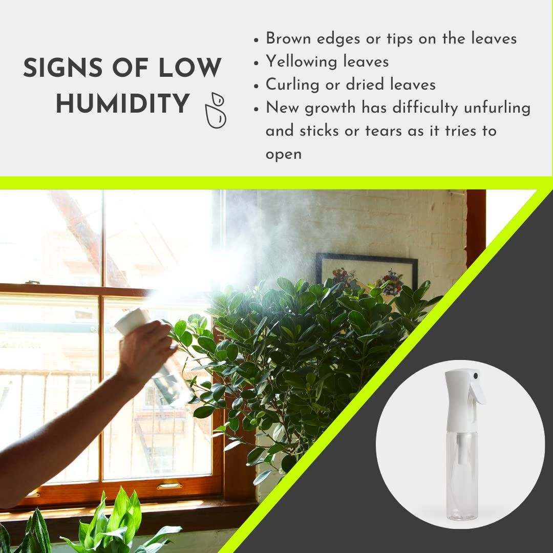 Airless Fine Spray Mister for Plants - Ultra Fine Water Mister, Easily Refillable, Best Spray Bottle for Houseplant Care โ image 3