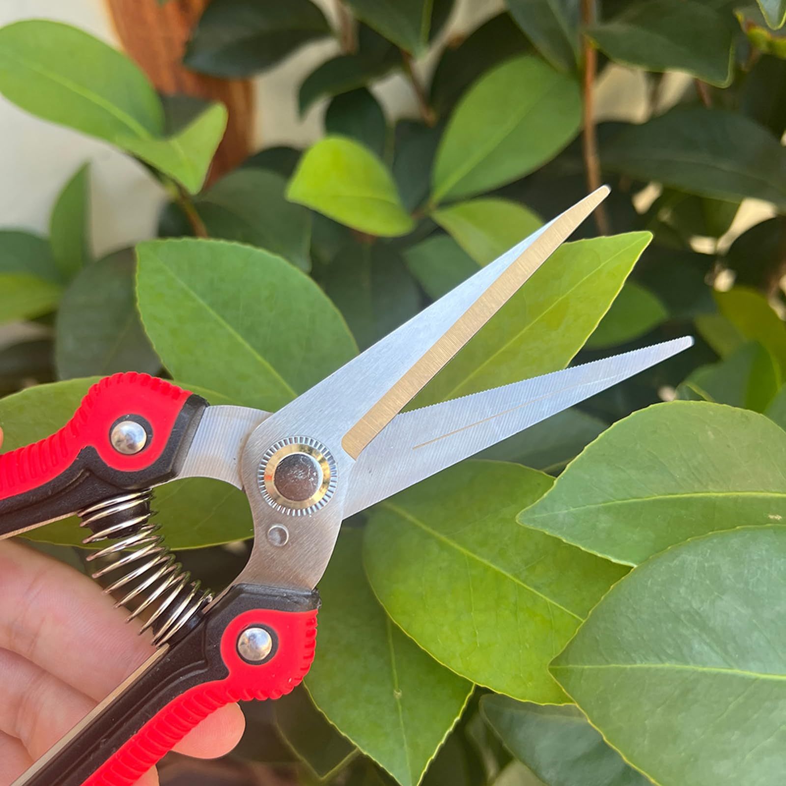 Straight Pruning Shears Gardening Scissors Hand Pruner Pruning Shear Garden Shears Multi-Tasking Garden Snips For (Red) — image 4