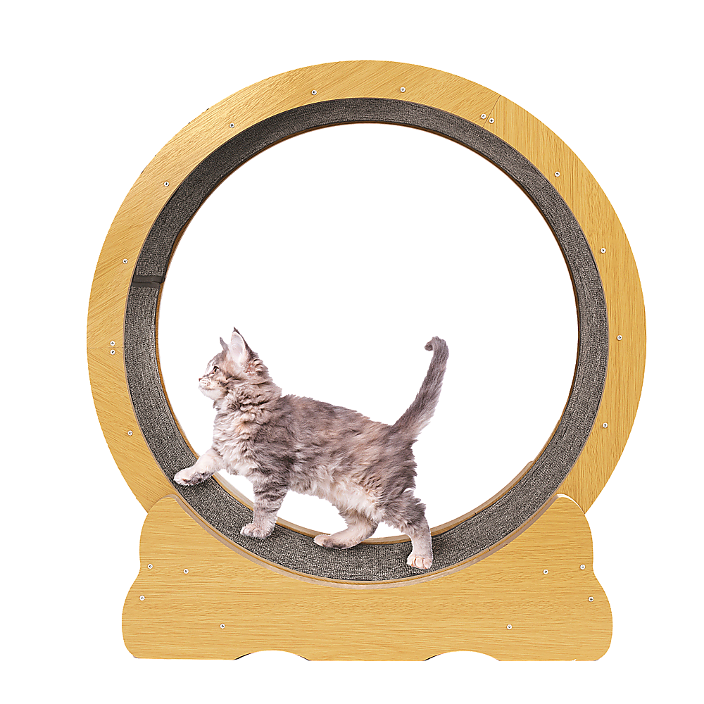 Cat Running Wheel w/ Carpet Runway Cat Exercise Wheel for Fitness Cat Treadmill โ image 4
