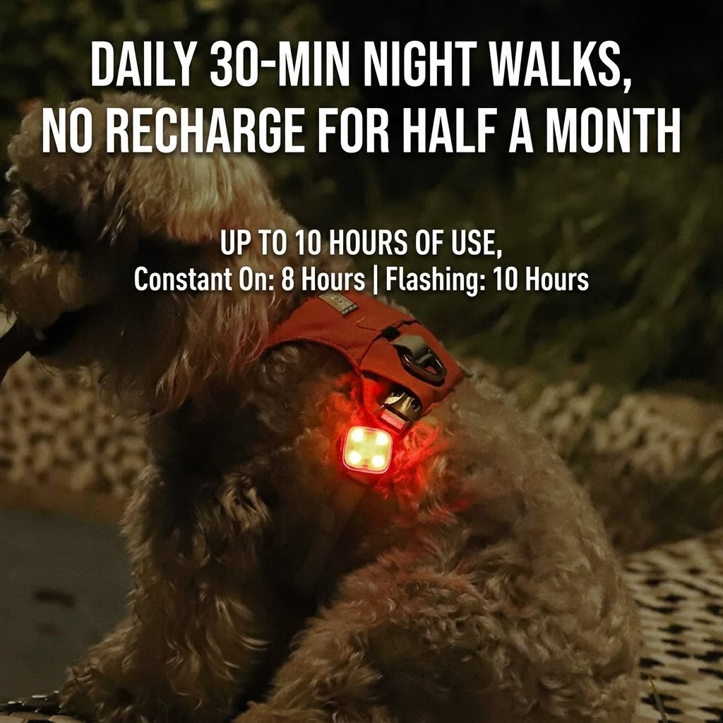 Rechargeable LED Night Safety Light for Dogs - Clip-On Glowing Pendant with IPX4 Waterproof, 3 Light Modes, and Long Battery Life for Evening Walks — image 3