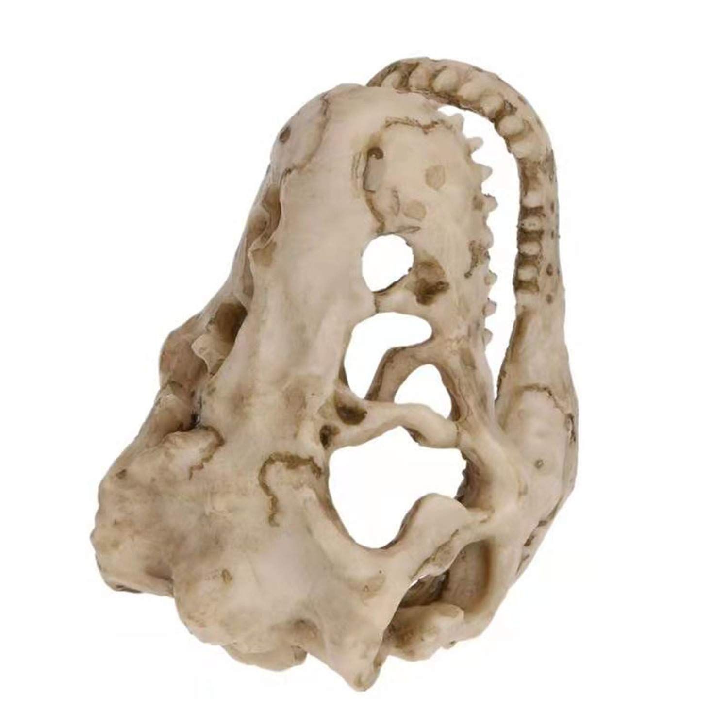 Aquarium Decoration Small Resin Dinosaur Skull Skeleton Fish Tank Aquarium Cave Pet Reptile House Decoration — image 4