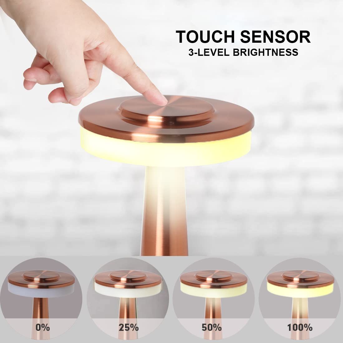 Touch Portable Cordless Desk Lamp, 3 Speed Touch Dimming, Built-in USB Battery Port, Bedroom Bedside Light, Bar Mood Light