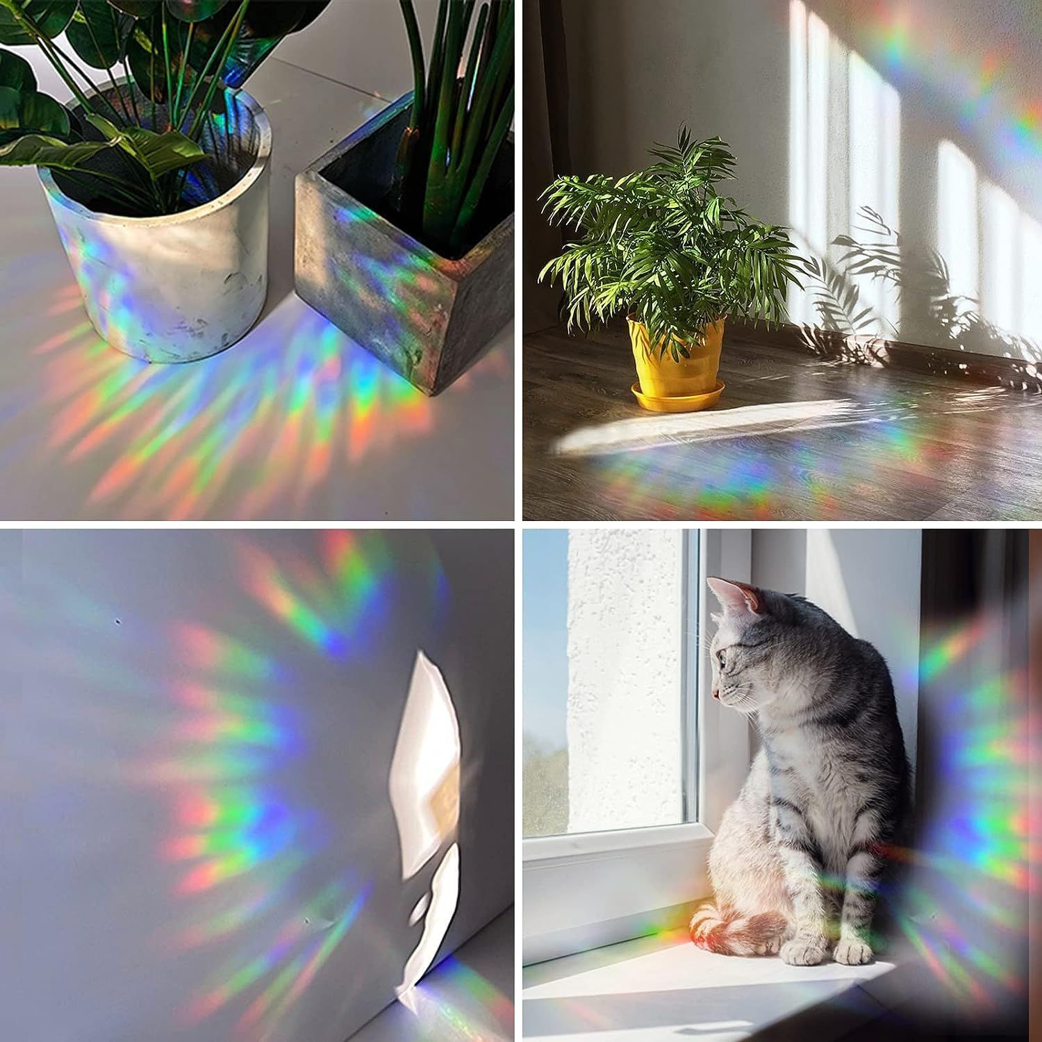 Window Stickers for Glass Windows, Bumper Window Decals, Bird Strike for Window Collisions, Reusable Rainbow Window Clings — image 3