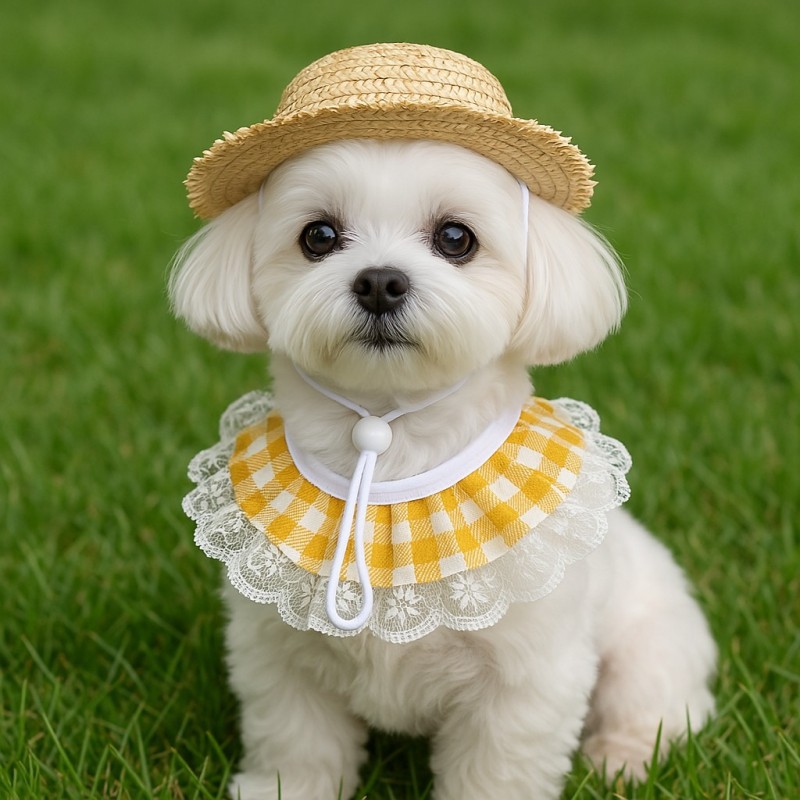Khaki and Yellow 2 Sets Adorable Porch Goose & Small Pet Costume Set - 2 Summer Straw Hat & 2 Gingham Bib โ image 3