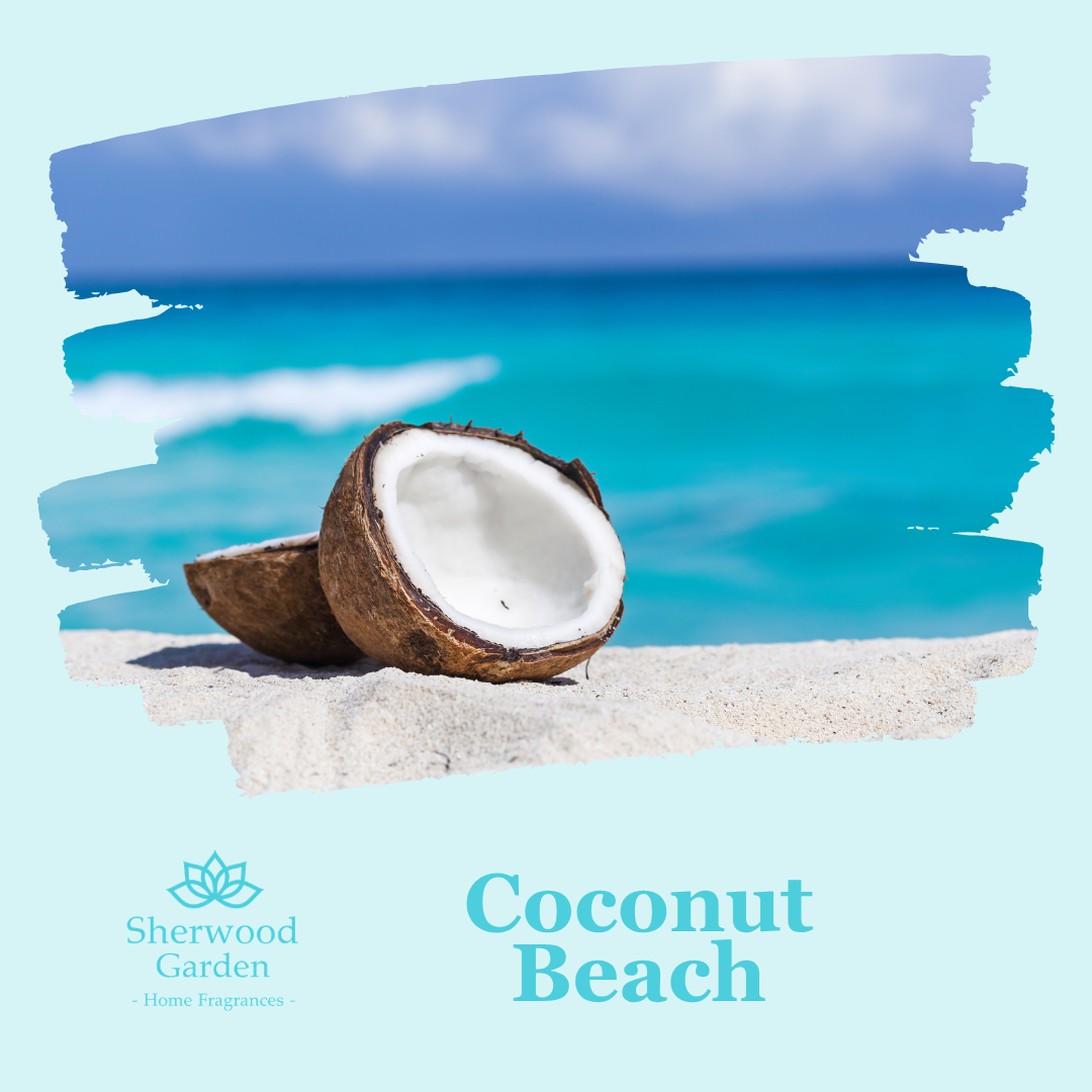 Coconut Beach Soy Candle Tin 165g — image 2