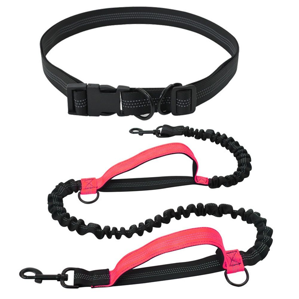 Exquisite Hands Free Dog Leash for Large Dogs. Ultimate Comfort & Freedom for Running, Walking, Hiking. Premium Quality, Durable & Versatile Waist โ image 3