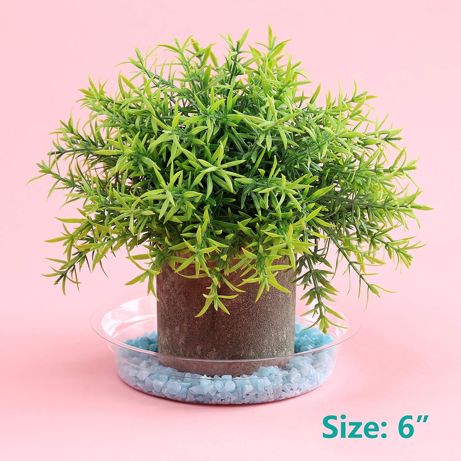 20 Pack 6 Inch Plant Saucers Clear Plastic Plant Saucer Drip Trays Small Plant Plate Dish for Indoor Flower Pots and Planters, Bulk — image 2