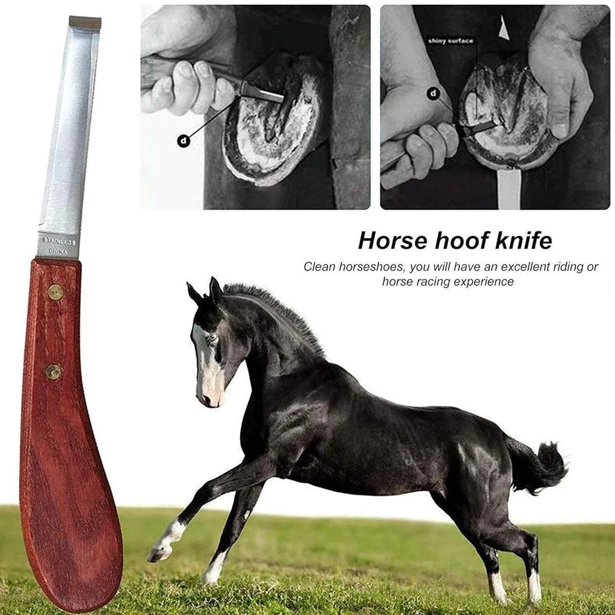 14 Inch Shoe Repair Tool Set Pliers Knife File Horseshoe Shear Hoof Trimming Kit — image 6