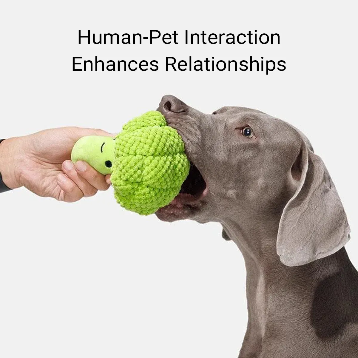 Pet Plush Squeaky Chew Toy For Dogs Cats Chew Resistant Boredom Relief Non Toxic — image 6