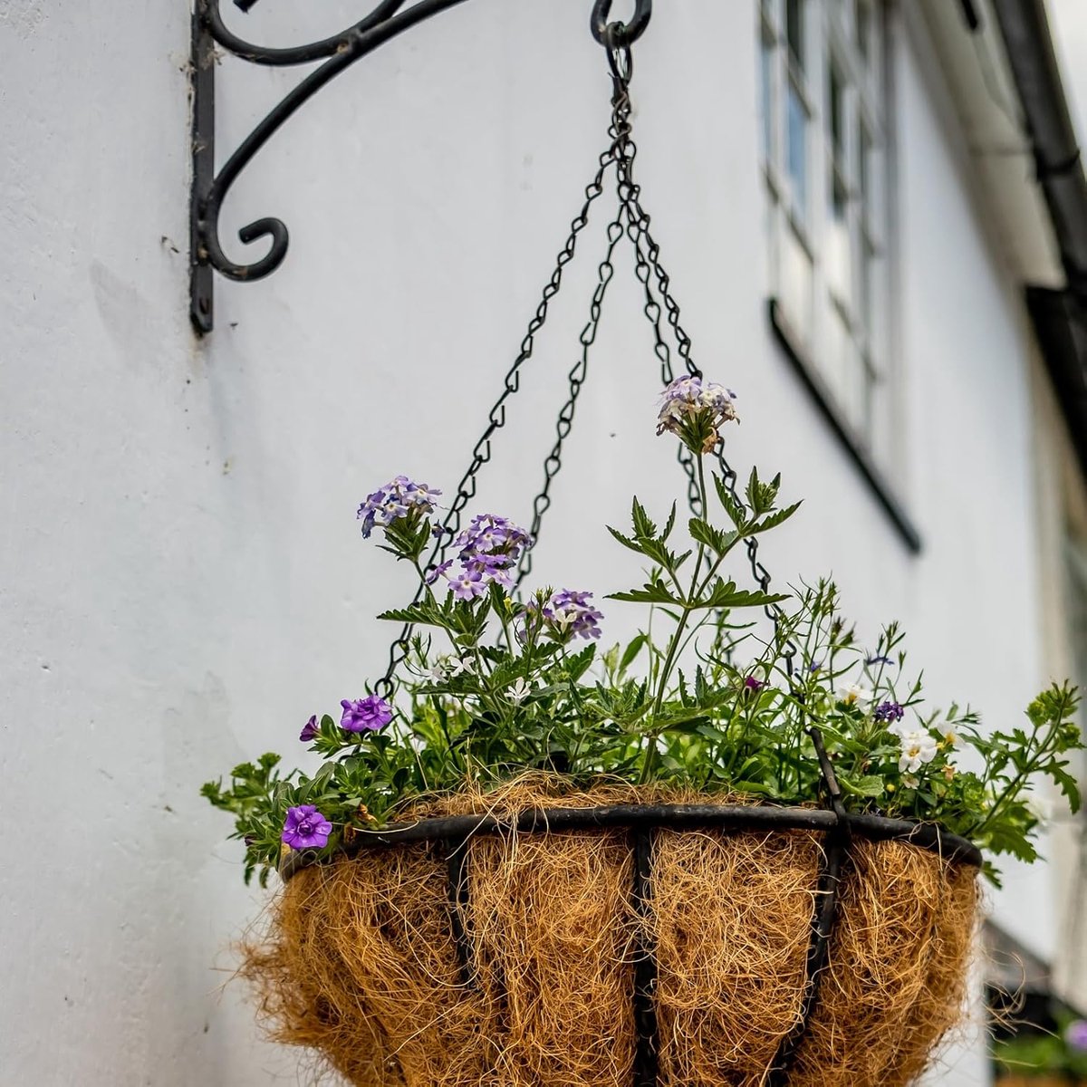 pieces - 16 inch - Plant hanger - Flowerpot hook - Lantern hook - Garden hook - Plant hook - hanging basket chains - with 3 chains - black chain with hooks โ image 2