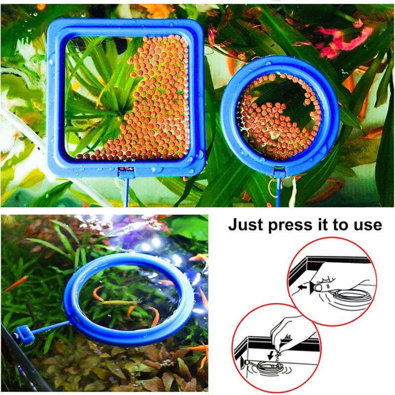 2 pcs Fish Feeding Rings Aquarium Feeder Food Feeding Ring For Guppy Betta Goldfish Blue — image 2