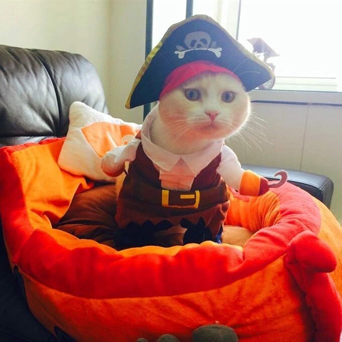 pet products New Funny Pet Clothes Pirate Dog Cat Costume Suit Corsair Dressing up Party Apparel Clothing for Cat Dog Plus Hat — image 2