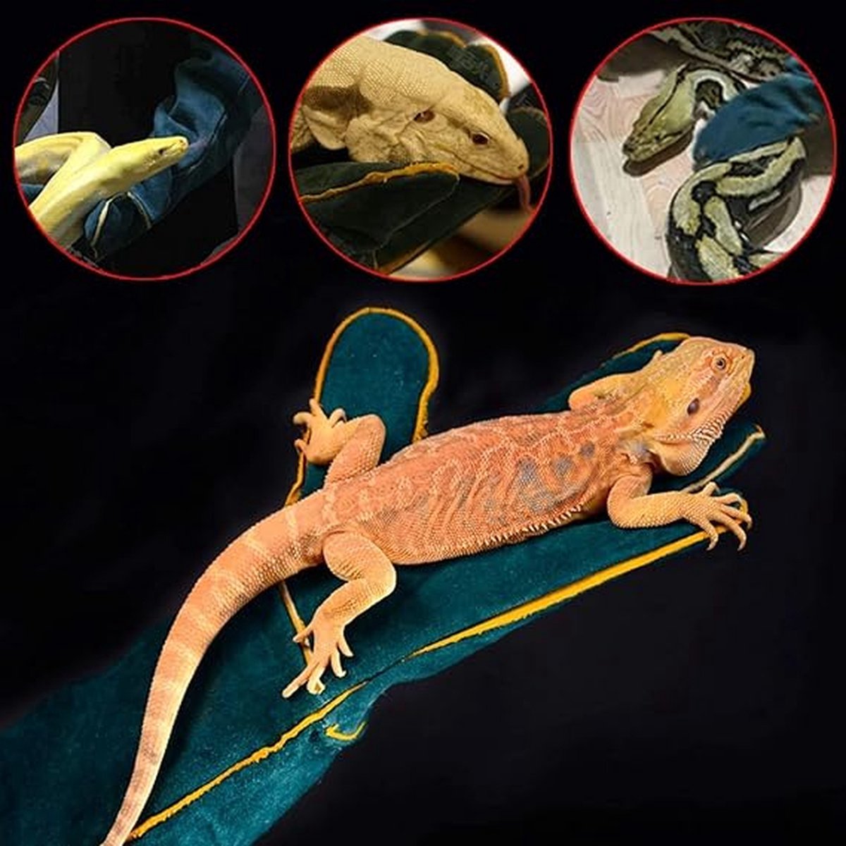 Pet Protection Gloves - Anti-bite - Abrasion-resistant - Insulated - Anti-scratch - Thickened - Anti-slip - Supple Leather - Pet Glove - 60cm - Heavy Duty — image 3