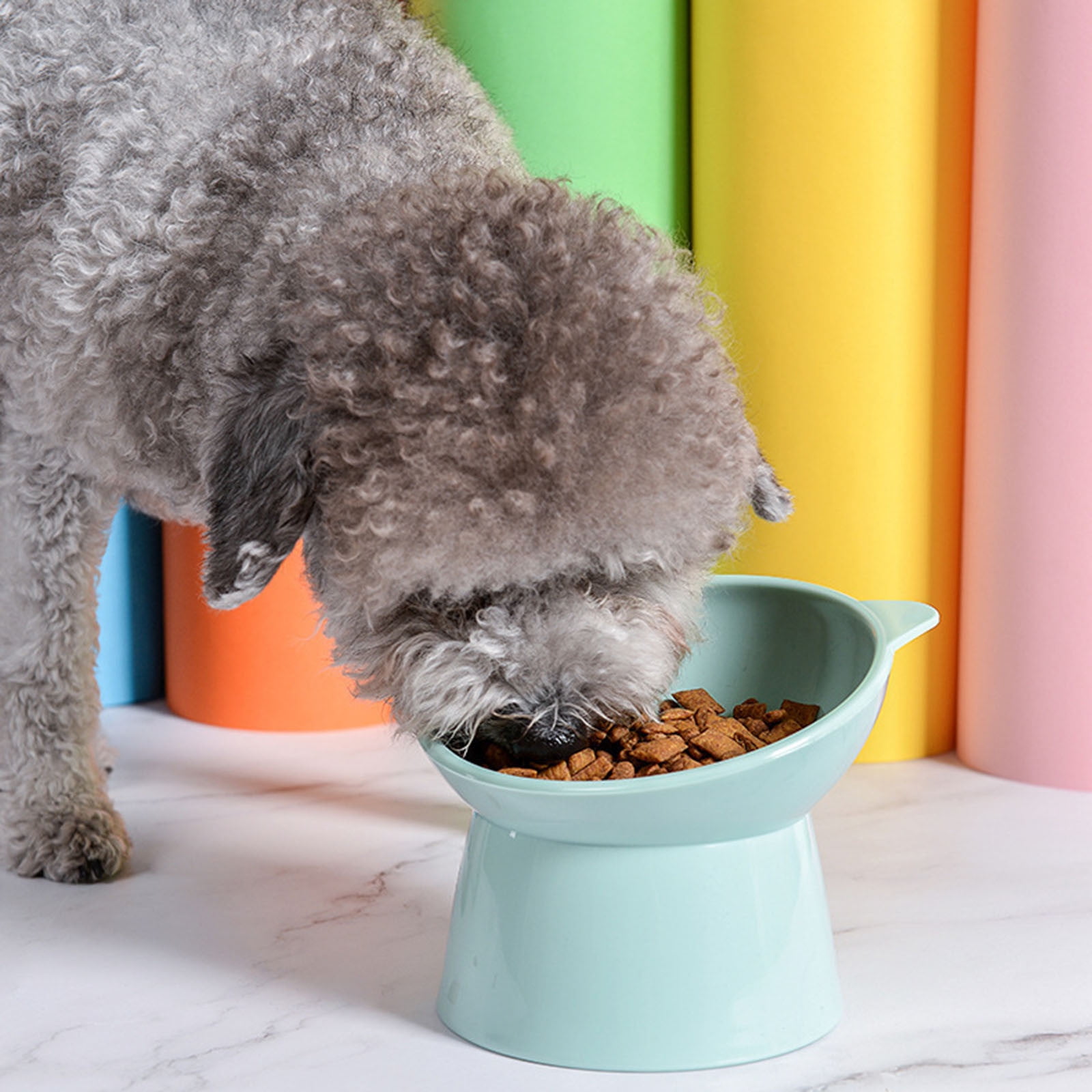 Raised Cat Food Bowl 15 Degrees Elevated Cat Bowls Anti Vomiting Tilted Raised Cat Food Bowl Plastic Slanted Stand Bowls for Pet Feeder Green โ image 4