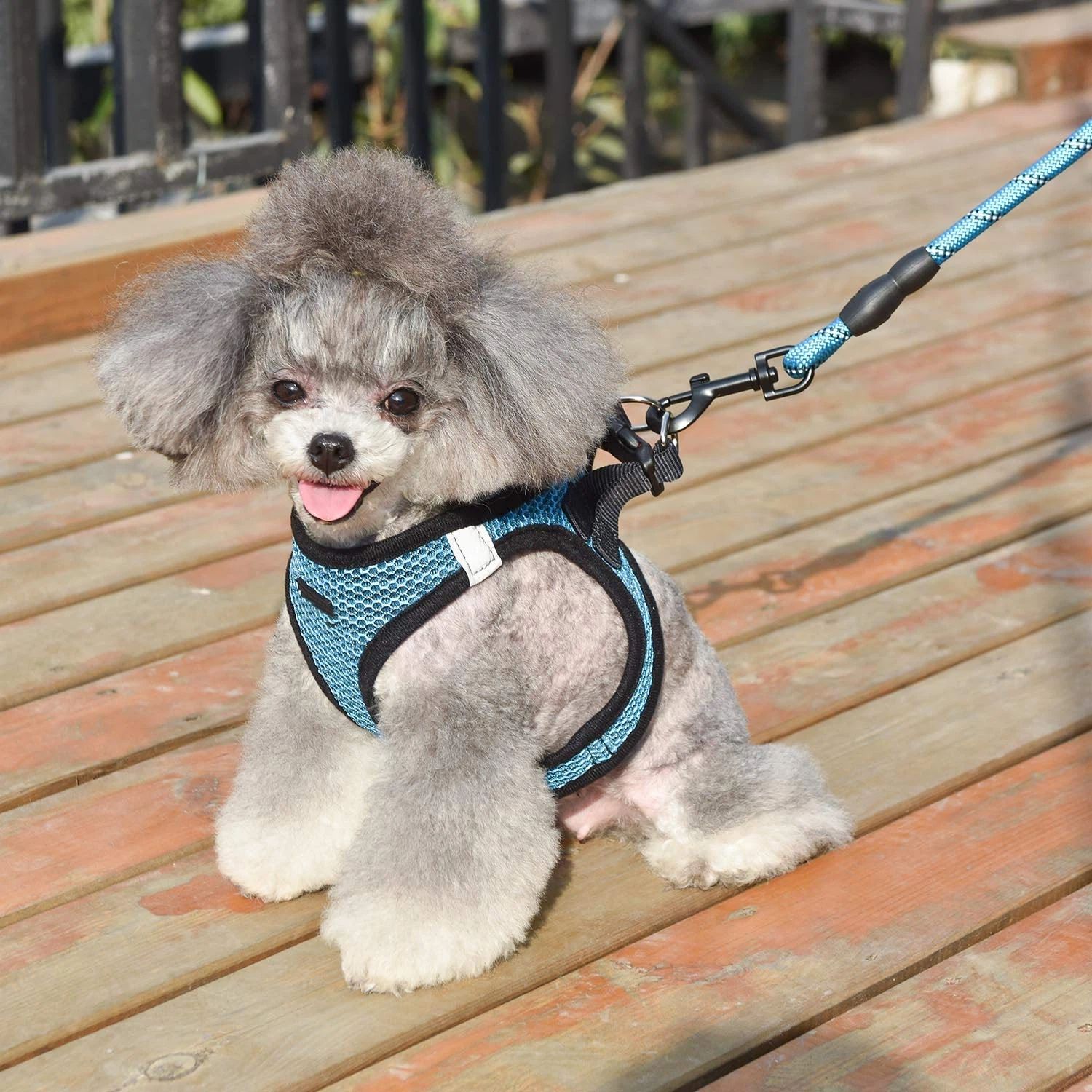 Dog Harness Step-in Breathable Puppy Cat Dog Vest Harnesses for Small Medium Dogs harness vest style dog leash reflective breathable dog leash pet — image 3
