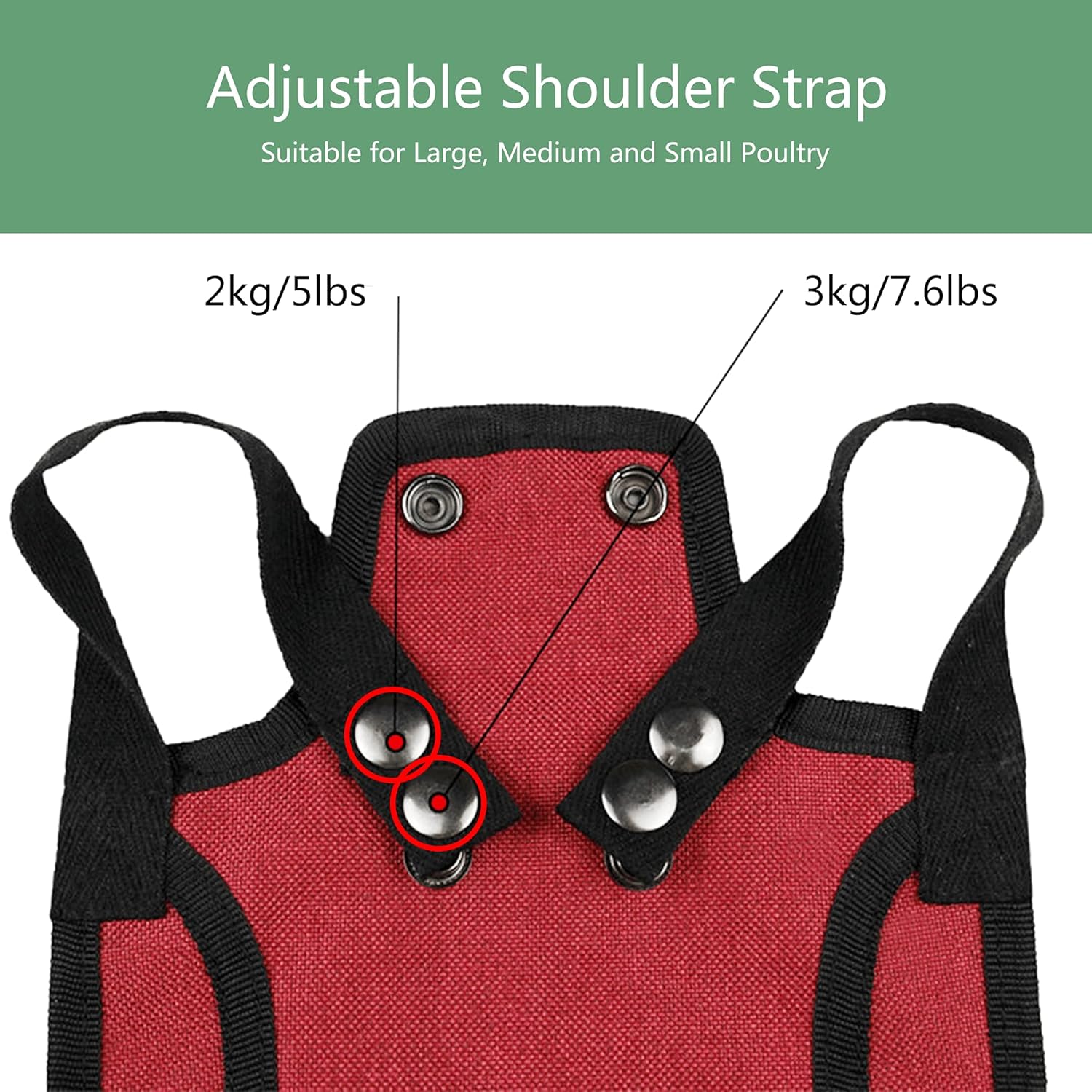 3 Piece Chicken Saddle Set Red/Blue/Purple Elastic Strap Back and Side Protection Poultry Accessories — image 4