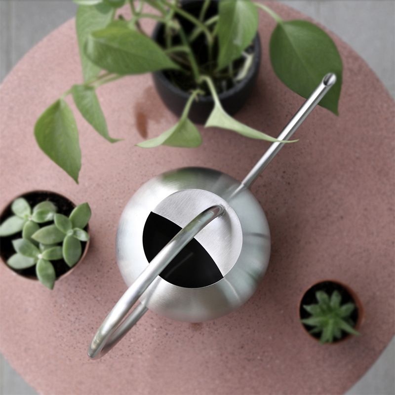 Long Nozzle Watering Can 1000ml Stainless Steel Metal European Plant Pot Sprinkler with Handle for Garden Household Tool (Silver) — image 2