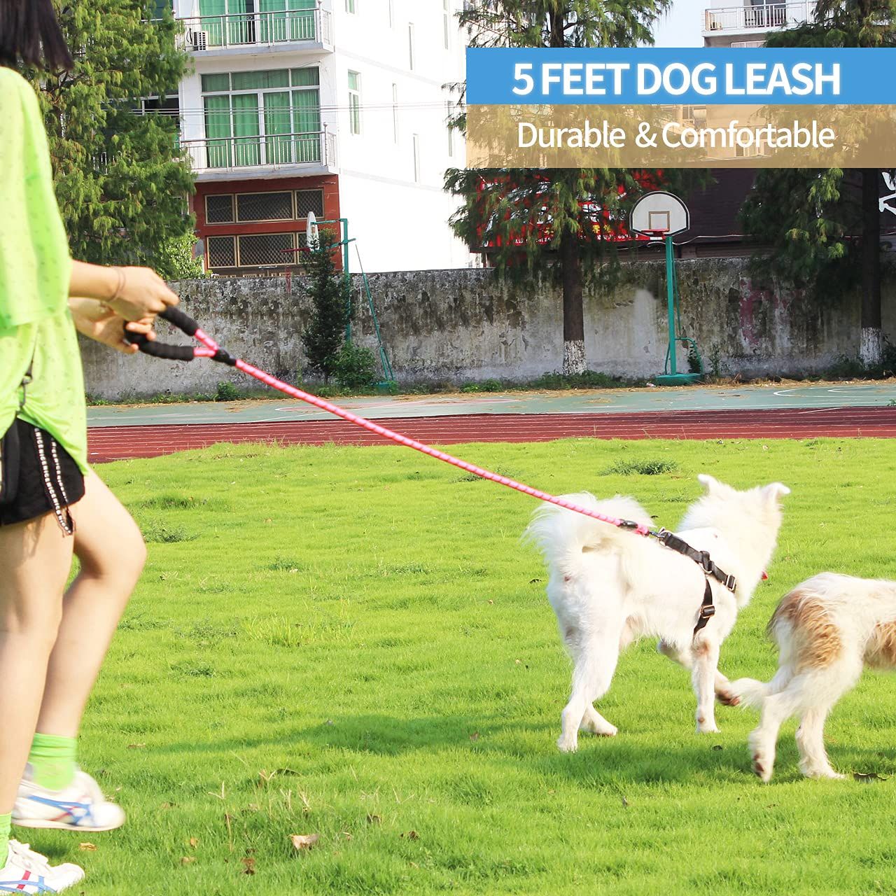 Dog Leash with Comfortable Padded Handle and Highly Reflective Threads for Small Medium and Large Dogs (Pink) โ image 5